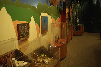 Museums near Bryce Canyon